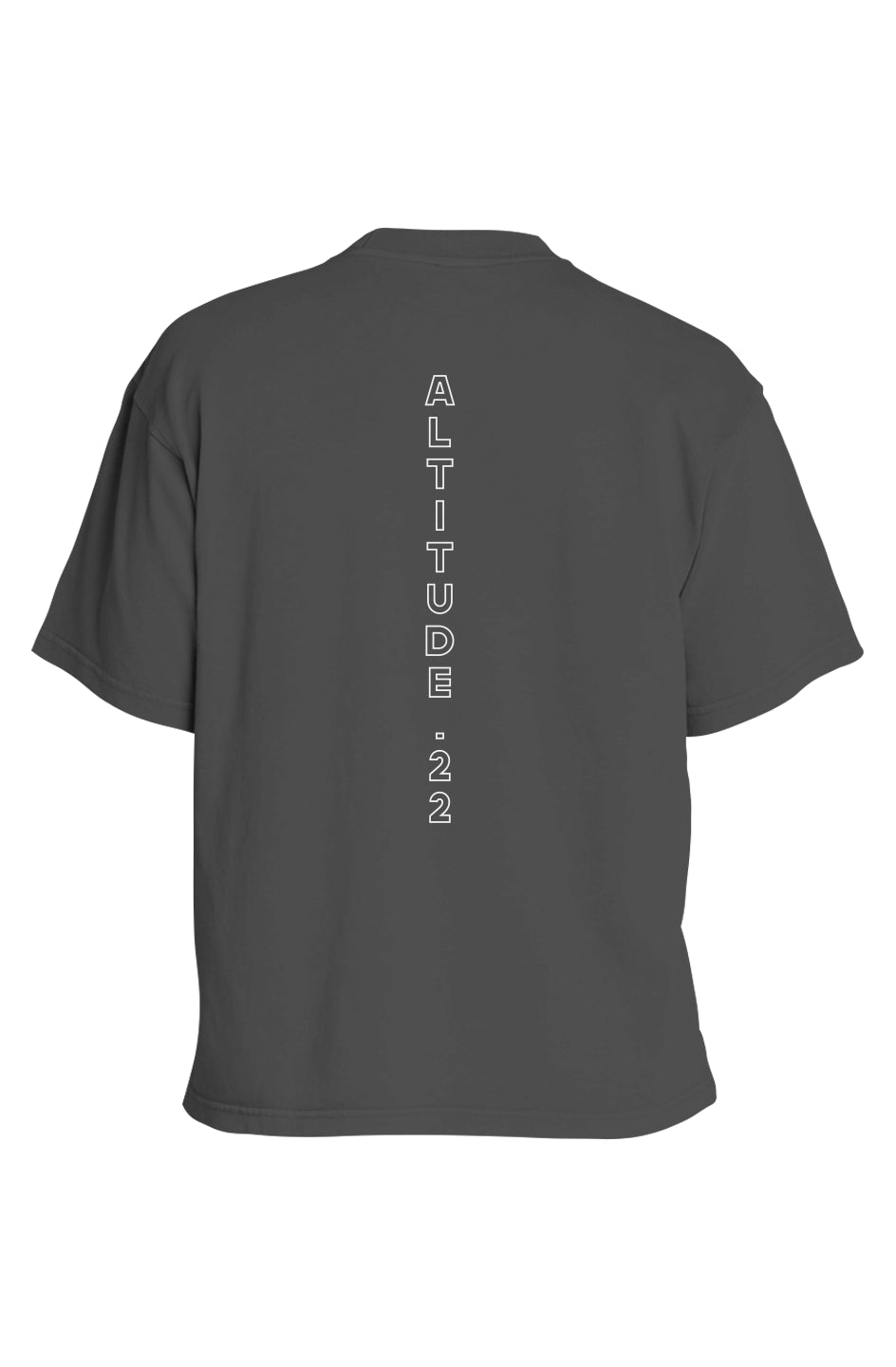 ALTITUDE22 ORIGINAL TEE
