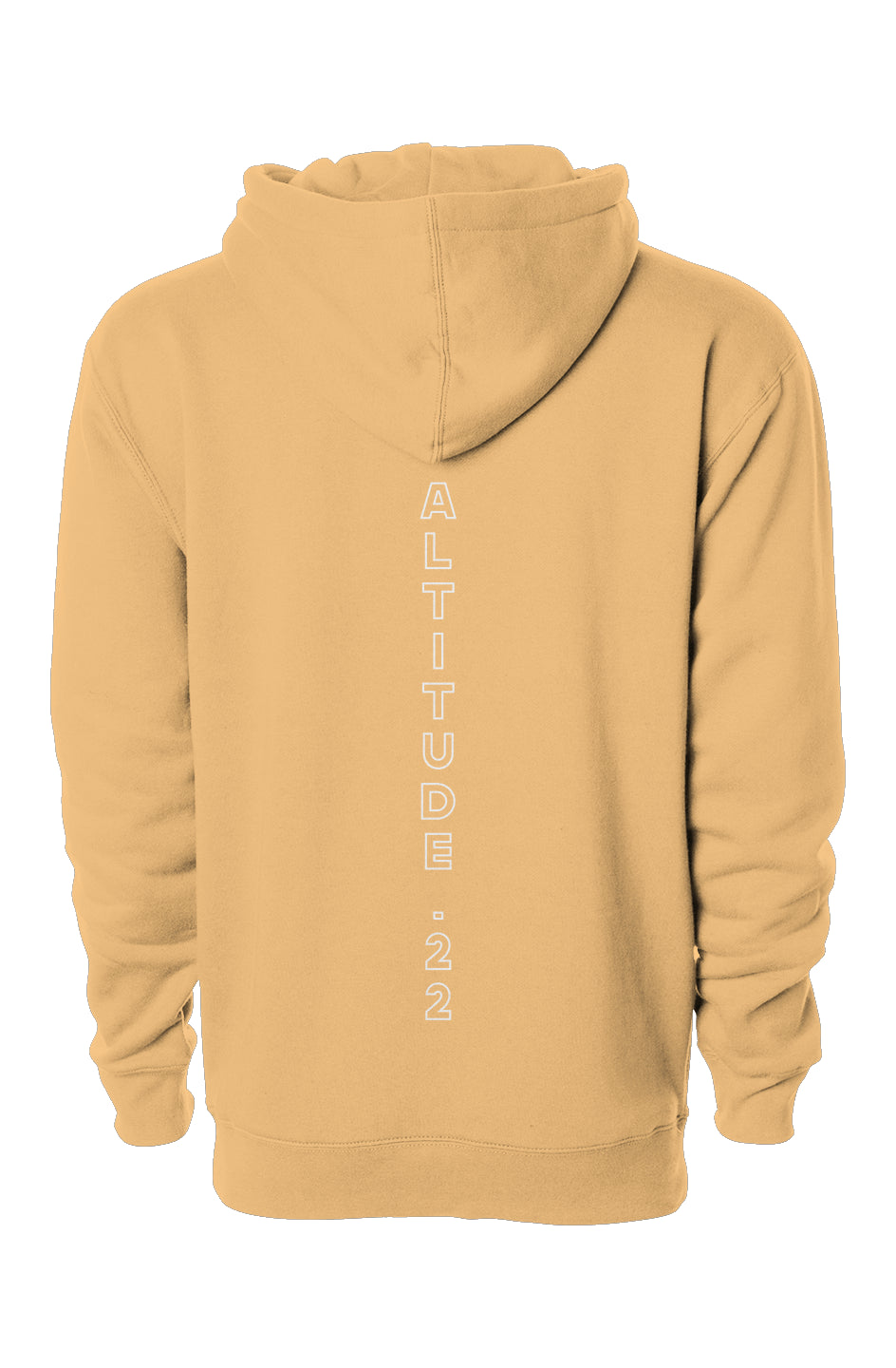 ALTITUDE22 DESIGNER HOODIE